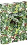 Baagl Planșe pentru caiete școlare A5 Dinozaur (A-31739)