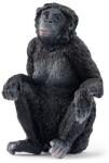 Schleich Femela cimpanzeu Schleich Bonobo (OLP102614875) Figurina