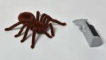 Mac Toys - Păianjen de controlat (M1880506)