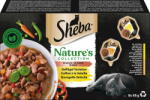 Sheba Nature's Collection alutálkás nedves macskatáp szószban - Szárnyasválogatás, tálkánként 85g - 680 g