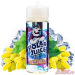Polar Juice Lichid Grape Ice Polar Juice 100ml (11287) Lichid rezerva tigara electronica