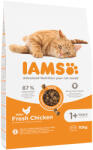 Iams 10kg IAMS Advanced Nutrition Adult Cat csirke száraz macskatáp