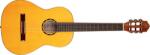 Ortega Guitars R170F Natural