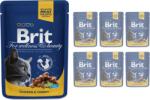 Brit Premium Cat chicken & turkey 6x100 g