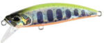 Duo SPEARHEAD RYUKI 51S 5.1cm 5.5gr ADA4055 Chart Back Yamame OB (DUO61408) - koi-farm