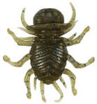 Duo REALIS KONINMUSHI 3.2cm F034 Light Pumkin Blue Flake (DUO48539) - koi-farm