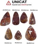  Pandantiv Fosil Palmier Picatura cu Gaura - 41-68 x 28-49 x 4-6 mm