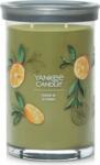 Yankee Candle Signature Sage & Citrus Tumbler illatgyertya 567 g