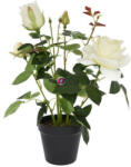 D&D Selyemvirág rózsabokor műanyag kaspóban műanyag 41cm krém (DD61177)