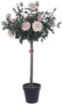 D&D Selyemvirág rózsabokor műanyag kaspóban műanyag 121cm pink (DD61579)