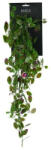 D&D Selyemvirág júdás pénz csüngő 80cm zöld (1067260)