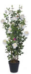 D&D Selyemvirág rózsabokor műanyag kaspóban műanyag 167cm krém (DD61195)