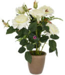 D&D Selyemvirág rózsabokor kerámia kaspóban műanyag 51cm krém - DD61182 (DD61182)