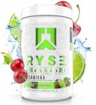 RYSE Bcaa + EAA 378g