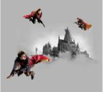 AG Design Harry Potteres gyerek függöny | 180 cm x 160 cm - babaszoba fald (FCSXL6609)