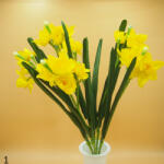  Nárcisz csokor - nagy