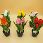  Cserepes gumi tulipán