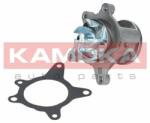 KAMOKA Vízszivattyú, motorhűtés KAMOKA T0163 (T0163)