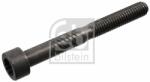 Febi Bilstein Csavar, himbatengely FEBI BILSTEIN 100729 (100729)