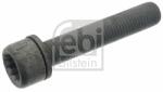 Febi Bilstein csavar, féknyereg FEBI BILSTEIN 48817 (48817)