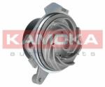 KAMOKA Kam-t0001 (t0001)
