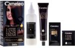 Delia Cosmetics Vopsea cu ulei de argan pentru păr - Delia Cameleo 9.0 - Natural Blonde