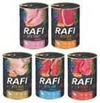 RAFI DOLINA NOTECI RAFI Mix 5 íz 400 g x 60