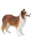 Papo Figurina - Catel rasa Collie (P30230) Figurina