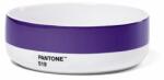 Pantone Bol pentru supă PANTONE - Violet 519 (101620519) Set pentru masa bebelusi