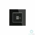 Smarthugo Egyes Fekete Üvegkeretes Dupla USB Csatlakozó (sh100412)