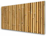  tulup. hu Akril üveg kép Bambusz növény természet 140x70 cm 4 fogas
