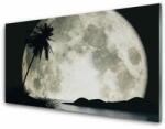  tulup. hu Akril üveg kép Éjszakai hold táj Palm 125x50 cm 2 fogas