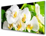  tulup. hu Akril üveg kép Orchidea virágok Természet 125x50 cm 2 fogas
