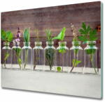  tulup. hu Üveg vágódeszka Növények tégelyek 2x30x52 cm - mall - 15 900 Ft
