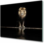  tulup. hu Üveg vágódeszka Portré egy oroszlán 2x30x52 cm - mall - 15 900 Ft