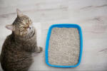  Benti macska alom 10 kg bentonit és zeolit alapú