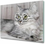  tulup. hu Üveg vágódeszka Cat szemüveg 2x30x52 cm - mall - 15 900 Ft