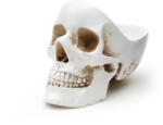 SUCK UK декорация (купа) suck uk - white skull - sk tidyskull1