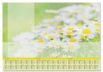 SIGEL Könyökalátét, 595x410 mm, 3 éves tervezővel, SIGEL Lovely Daisies - oneclick