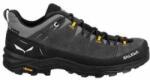 Salewa Încălțăminte Sport Bărbați Salewa Alp Trainer 2 Gtx Negru Mărime la picior 41