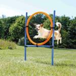 TRIXIE Dog Activity - Cerc pentru agilitate (115 × ø 3 cm ; diametru cerc: ø 65 cm. )