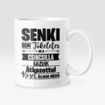  Senki sem tökéletes, de az csincsilla gazdik átkozottul közel állnak hozzá bögre (senkisem_csincsilla_bogre)