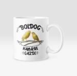  Boldog kanári gazdi bögre (boldog_kanari_bogre)