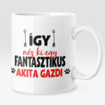  Így néz ki egy fantasztikus akita gazdi bögre (igy-nez-ki-egy-fantasztikus-akita-gazdi-bogre)