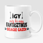  Így néz ki egy fantasztikus beagle gazdi bögre (igy-nez-ki-egy-fantasztikus-beagle-gazdi-bogre)