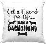  Get a friend for life own a dachshund párna (get_a-friend_for_life_own_dachshund_parna)