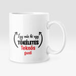  Így néz ki egy tökéletes teknős gazdi bögre (igy_nez_ki_teknos_bogre)