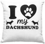  I love my dachshund with paw párna (i_love_my_dachshund_with_paw_parna)