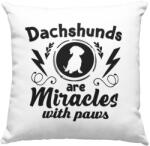  Dachshund are miracles with paws párna (dachshunds_are_mircles_with_paws_parna)