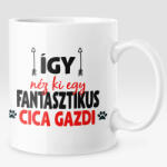  Így néz ki egy fantasztikus cica gazdi bögre (igy-nez-ki-egy-fantasztikus-cica-gazdi)
